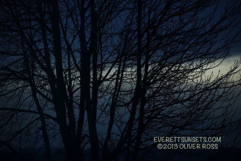 A dark night with a flash of white.