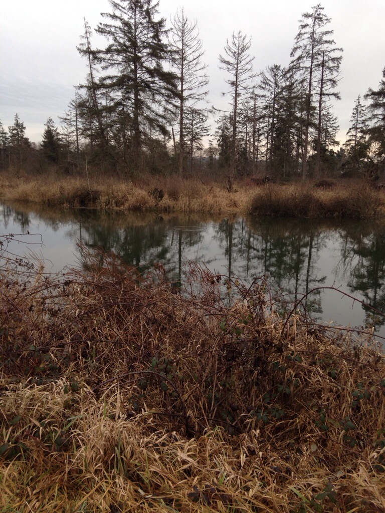 20140101-164855.jpg